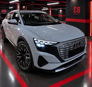 آئودی Q5 E-tron